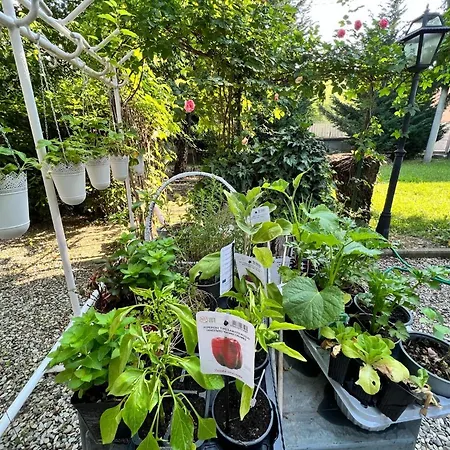 La Bugia Di Tanzi 3* بارما