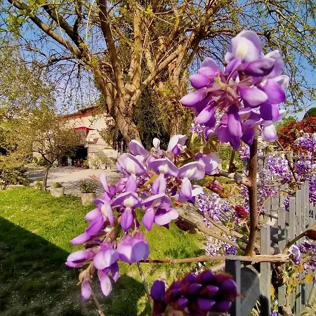 La Bugia Di Tanzi فندق مبيت وإفطار 3*