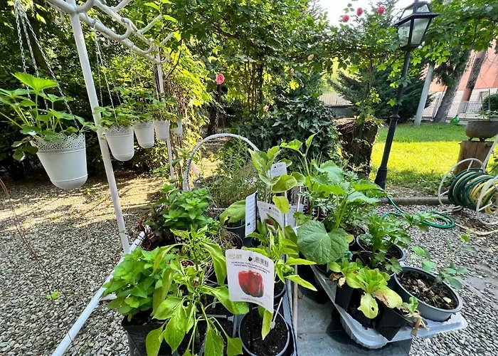 La Bugia Di Tanzi 3* Parma