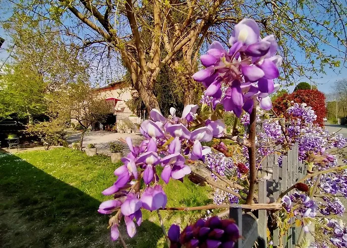 La Bugia Di Tanzi Отель типа 